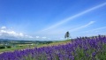 免费黄色操逼视频对白日本一地6日游  境外旅游 6880元/人